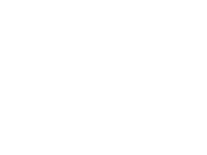 Ken Inspect Logo